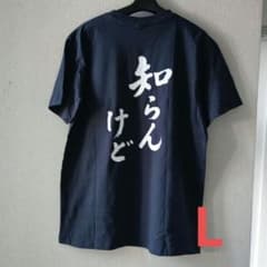 「知らんけど」L ネイビー　おもしろTシャツ　速乾ドライメッシュのサムネイル
