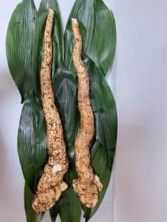 天然自然薯　2・2kg 天然自然薯 2・2kg - メルカリ