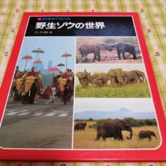 科学のアルバム野生ゾウの世界のサムネイル