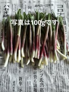 行者にんにく（アイヌネギ）300gのサムネイル