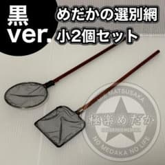 【極楽めだか】めだかの選別タモ 黒小2点セット（メダカ・網・手作り）のサムネイル