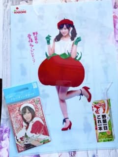 AKB48 前田敦子 野菜シスターズ クリアファイル トレーディングカード
