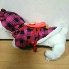 可愛いわんこ♥にゃんこに！！のサムネイル