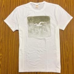 ★未使用★ホリスター メンズ 半袖Tシャツ ホワイト L (S224) - 4