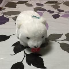 ぬいぐるみのサムネイル