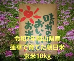 令和7年 朝日米 玄米10キロ - メルカリ
