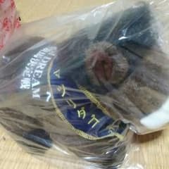 CR G1 DREAM 最強馬決定戦ぬいぐるみのサムネイル