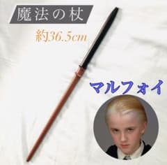 해리 포터 마법의 지팡이 코스프레 USJ 말포이 스리자린 할로윈