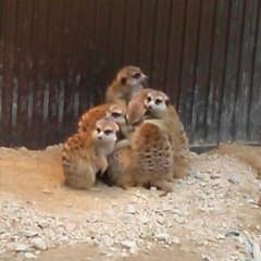 puipui様専用のサムネイル