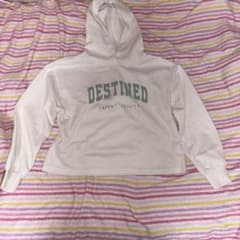 DESTINED ロゴ パーカー ホワイトのサムネイル