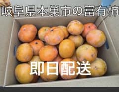 無農薬岐阜県本巣市産 富有柿 訳あり　12kg - 3