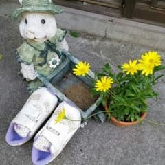 ラプンツェル様専用　アシックスの花柄のかわいいシューズのサムネイル