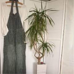 ホルターネックオーバーオール✴︎✴︎✴︎美品ですのサムネイル