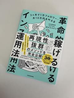 革命稼げるインフルエンサー運用法のサムネイル