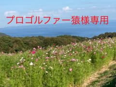 NIKEダウン　kids 100 人気のブルーのサムネイル