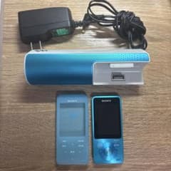 SONY NW-S14 8GB ウォークマンのサムネイル