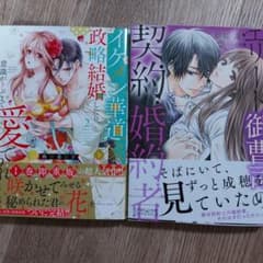 イケメン華道家と政略結婚2、エリート御曹司の契約婚約者のサムネイル