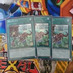 し〜様専用 遊戯王 隣の芝刈りのサムネイル