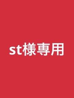 st様専用のサムネイル
