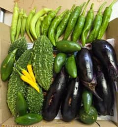お野菜詰め合わせのサムネイル