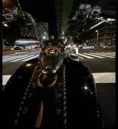 イントルーダークラシック400 ファイアーパターン　タンクビブ