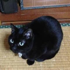 あゆう様専用♡値下げアクアレーベル♡のサムネイル