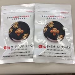 ターミナリアファーストのサムネイル