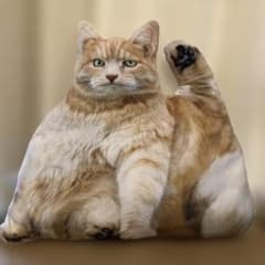 リアルでぶ猫のクッション2のサムネイル