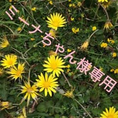 ミーナちゃん様専用のサムネイル