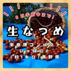 なつめ　生なつめ　約1キロのサムネイル