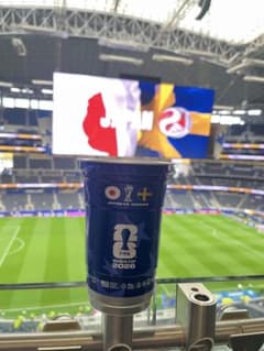 FIFAワールドカップ　記念カップ 日本 vs スウェーデンのサムネイル