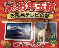 ヨドバシ お風呂テレビの夢 夢のお年玉箱 ヨドバシ お風呂テレビの夢 夢のお年玉箱 - メルカリ