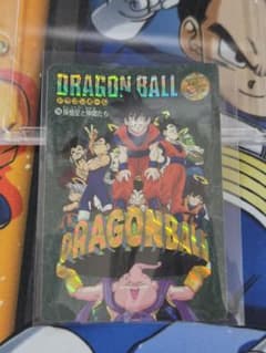 ドラゴンボール ビジュアルアドベンチャー 256 孫悟空と仲間たち　カードダス