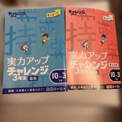 実力アップチャレンジ 3年生 国語 10-3月版のサムネイル