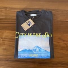 新品　LUZeSOMBRA　ドミンゴ　ロングスリーブ Tシャツ　フォトT　グレー 新品 LUZeSOMBRA ドミンゴ ロングスリーブ Tシャツ フォトT グレー