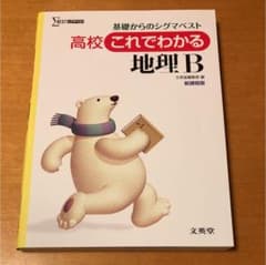 【なつみんさん専用】高校これでわかる地理Bのサムネイル