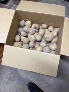 新潟県産 きたあかり 10kg S〜Lサイズのサムネイル