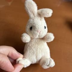 ミニサイズ うさぎ ぬいぐるみ ホワイト - メルカリ