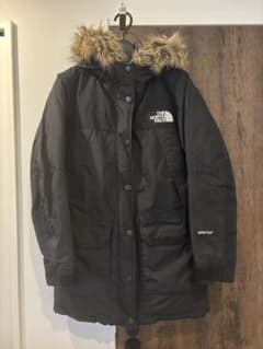 THE NORTH FACE GORE-TEX マウンテンダウンジャケットのサムネイル