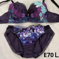 Wacoal Salute ブラ＆ショーツ E70 Wacoal salute ブラジャーショーツセット E70L - メルカリ