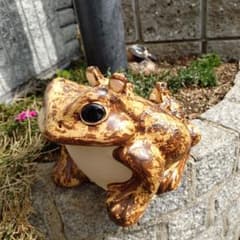 信楽焼 8号蛙 親子蛙 蛙 六(む)かえる 高さ17㌢ - メルカリ