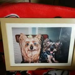 依頼用写真です。のサムネイル