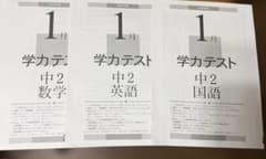 中2 学力テスト問題・解答のサムネイル