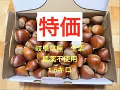 岐阜県産 生栗 1.5kg 農薬不使用のサムネイル