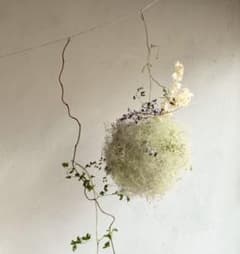 スモークツリー　フライングリース　ボールリース　きみどり m83974747432_1.jpg?1654655972