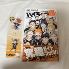 ハイキー‼︎ 極　ファイナルガイドブックのサムネイル
