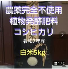 農薬完全不使用/植物発酵肥料 コシヒカリ 白米5kg（令和7年産）のサムネイル