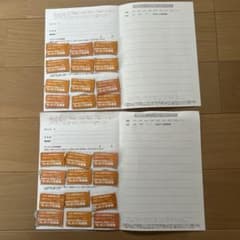 お得！美肌のお守り365 最大3か月分貰える　応募券台紙2枚➕応募券24枚のサムネイル