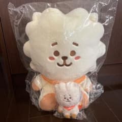 BT21 과일 L 사이즈 봉제인형 빈돌 RJ 진 공식 BTS