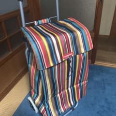 レジャーバッグ 美品のサムネイル